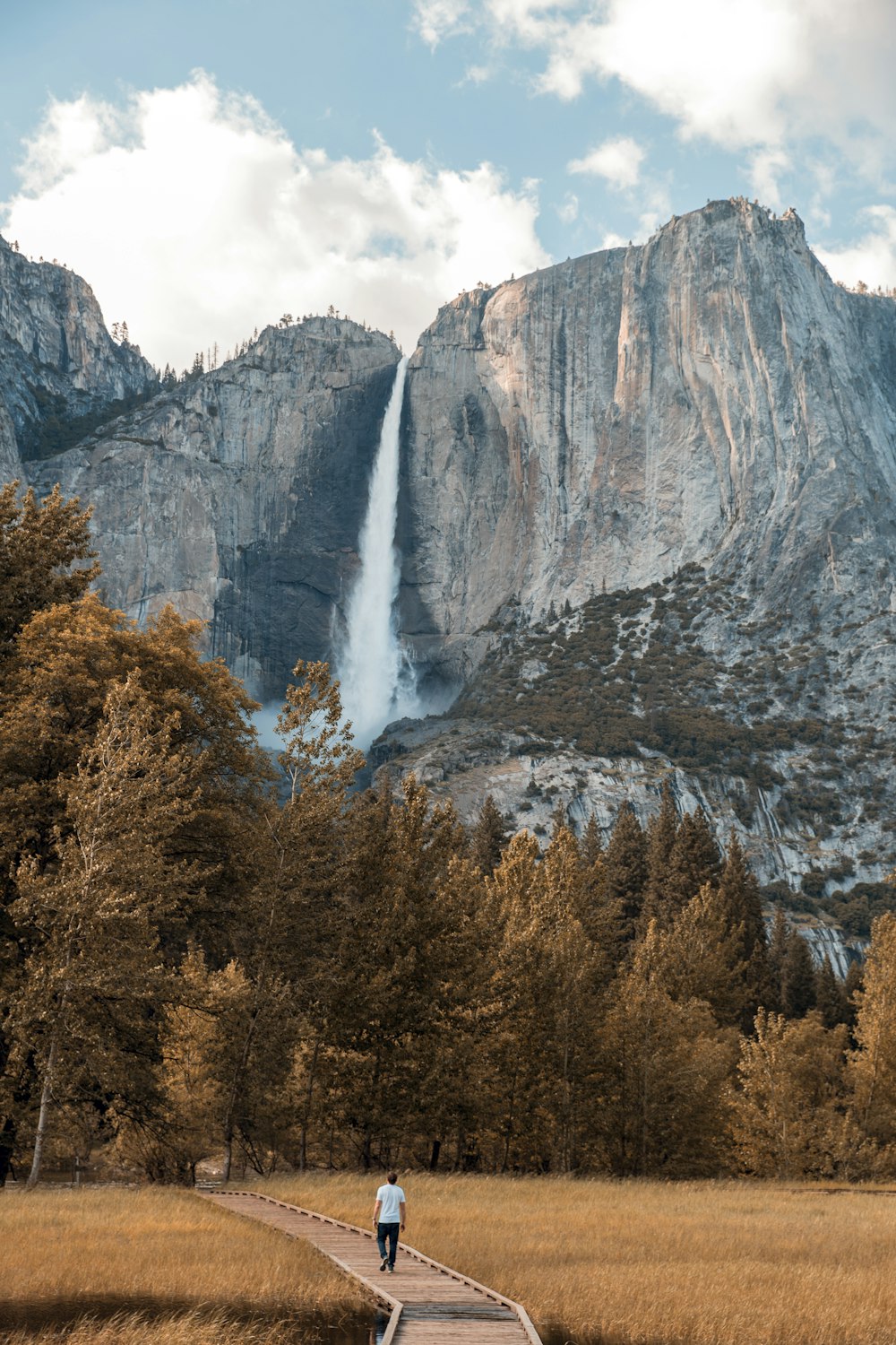 man walking through pathway near trees and waterfalls