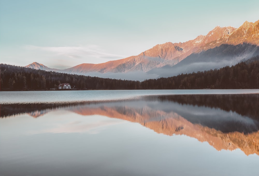 house near the forest and lake with mountains at the distance during day