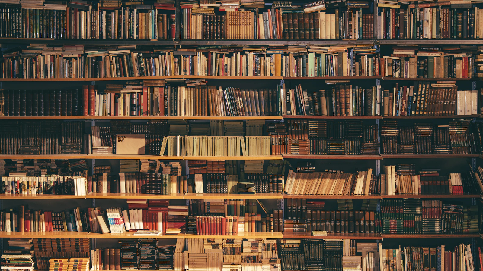 Rows of books arranged on wooden library shelves