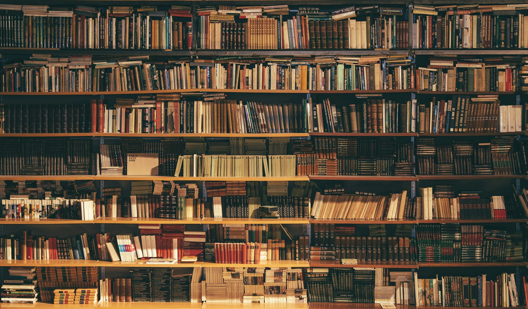 Shelves with books