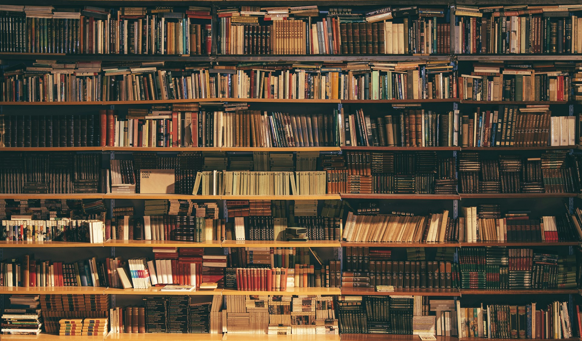 Oriental Research Institute library