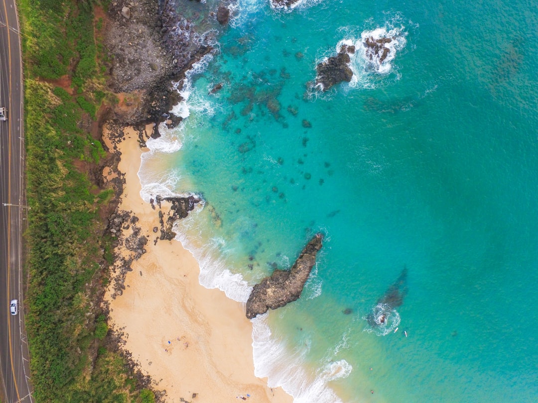 Travel Tips and Stories of Waimea Bay in United States