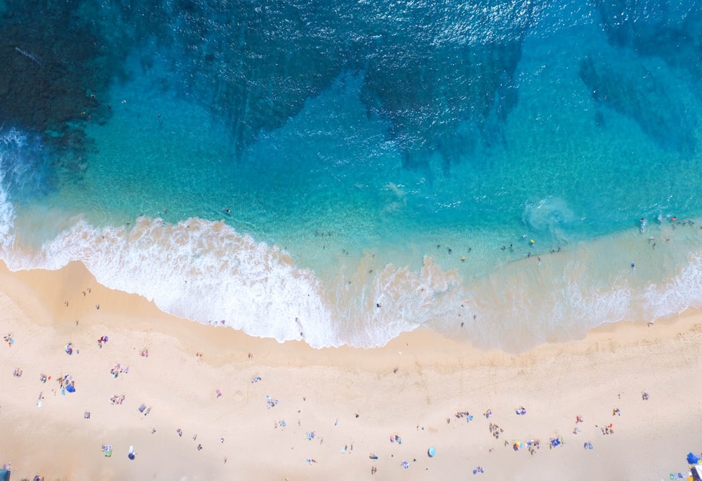 Luftaufnahmen von Menschen, die tagsüber am Strand schwimmen und sitzen