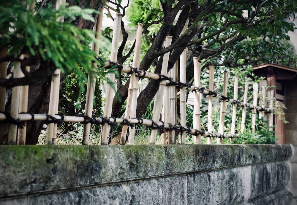 concrete wall with wooden spikes during day