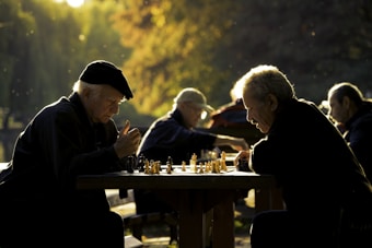 Two elderly men engaged in an intense game of chess in a park setting. The scene is bathed in warm sunlight filtering through the trees, creating a serene and contemplative atmosphere. Additional players can be seen in the background, each focused on their own game.