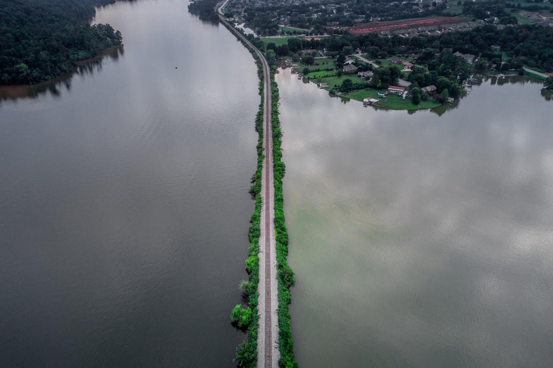 road between body of water during day