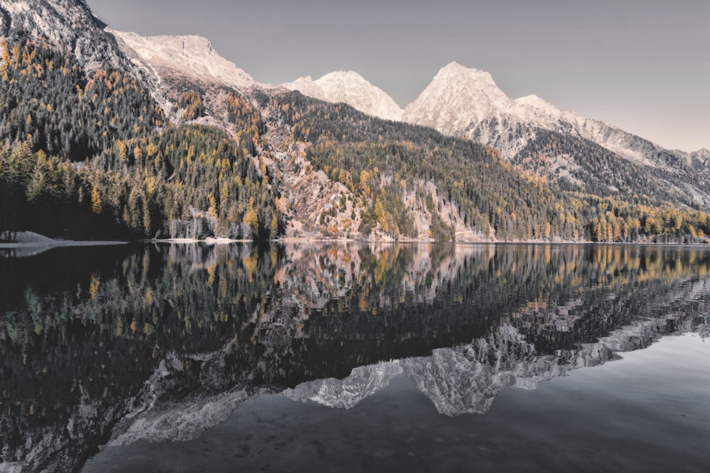 lake in shallow focus photography