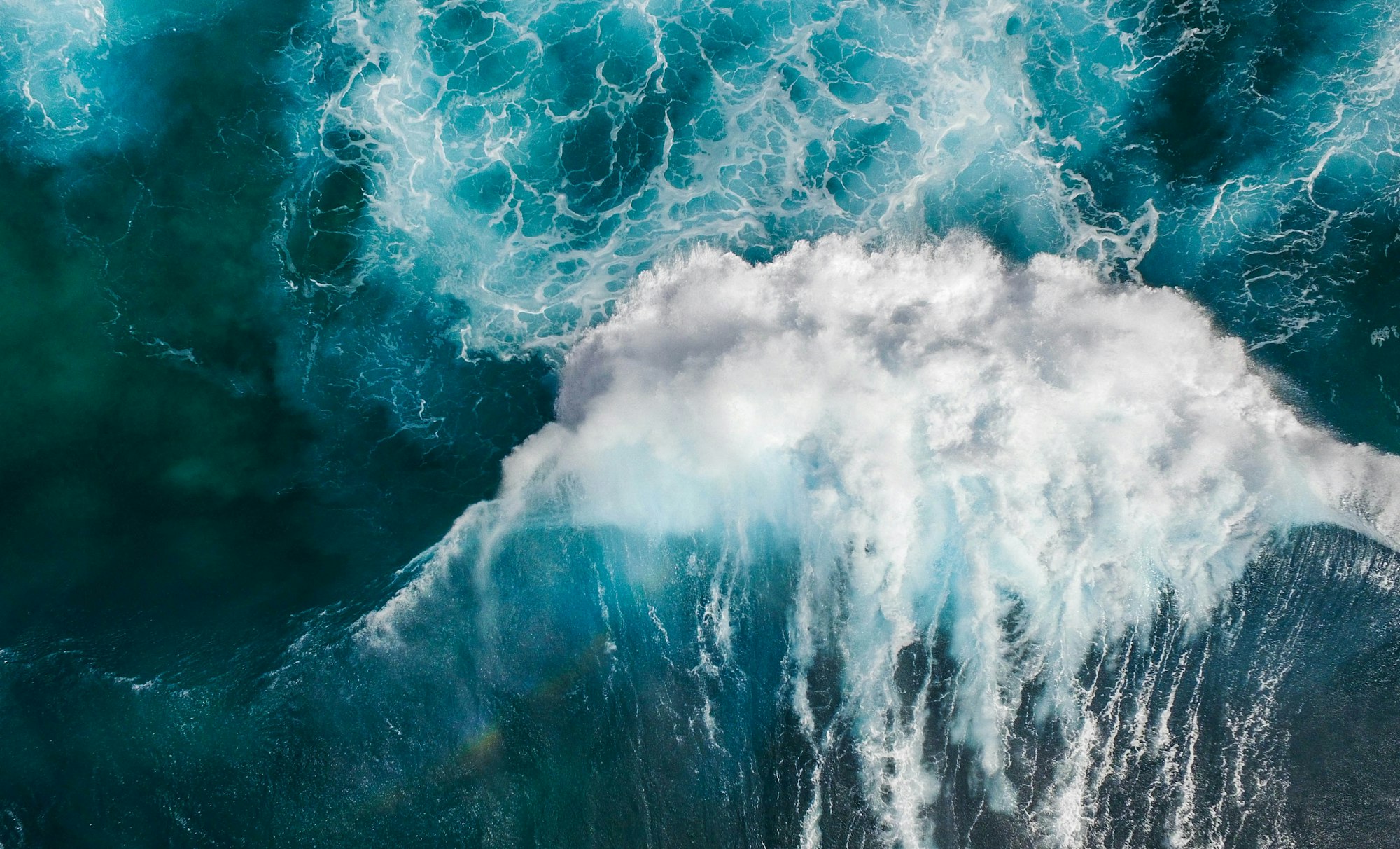 Ride the Waves of Change: How to Embrace Life's Ups and Downs