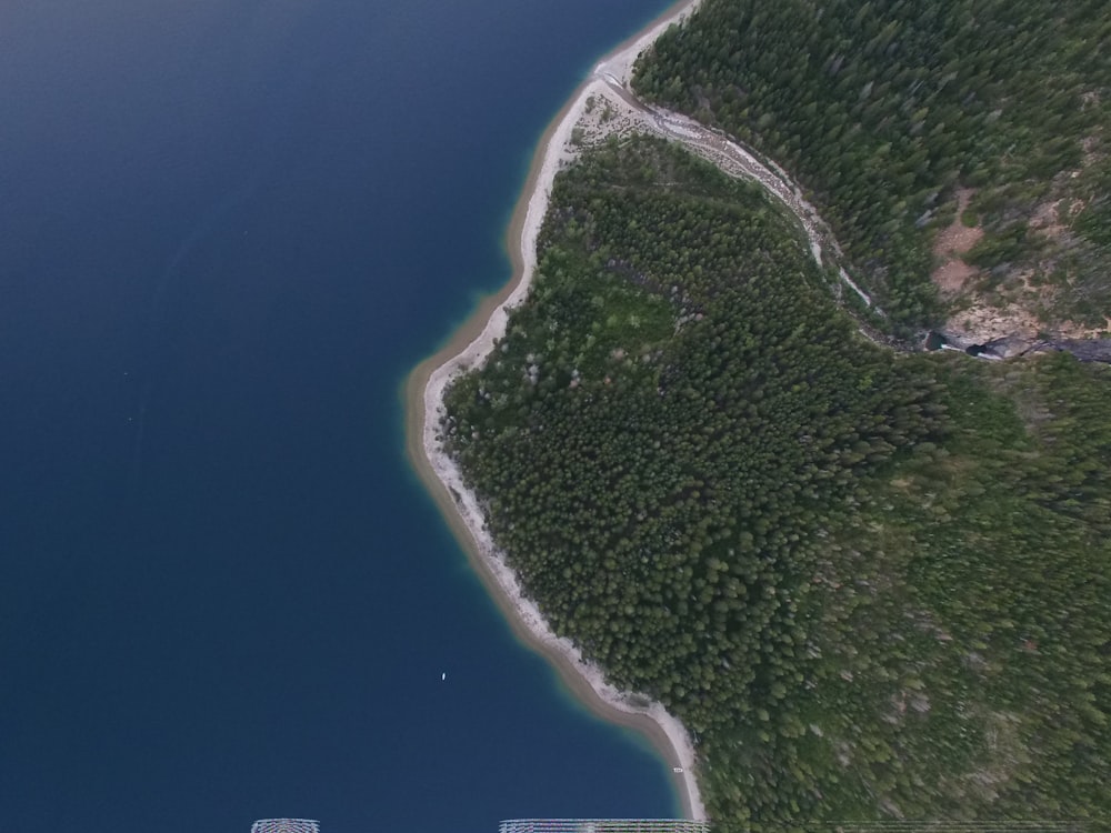 aerial photography of forest near ocean