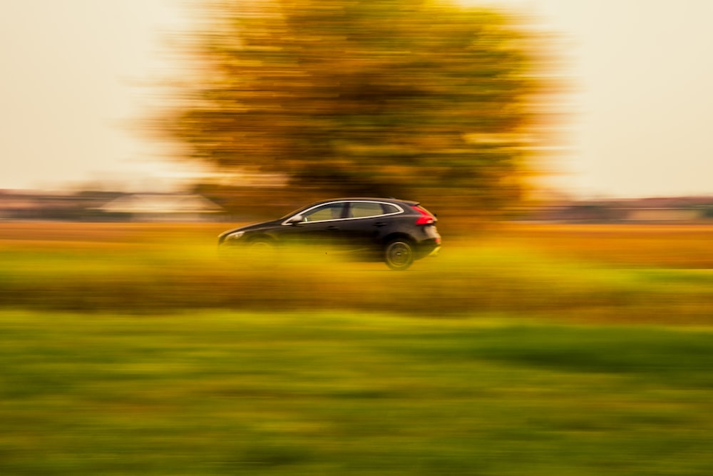 schwarzer SUV in der Nähe von Gras und Bäumen