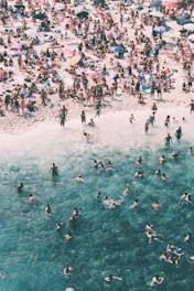 crowded people gathered on beach