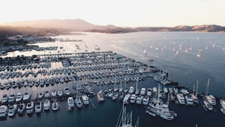 aerial photography of boats docked on water