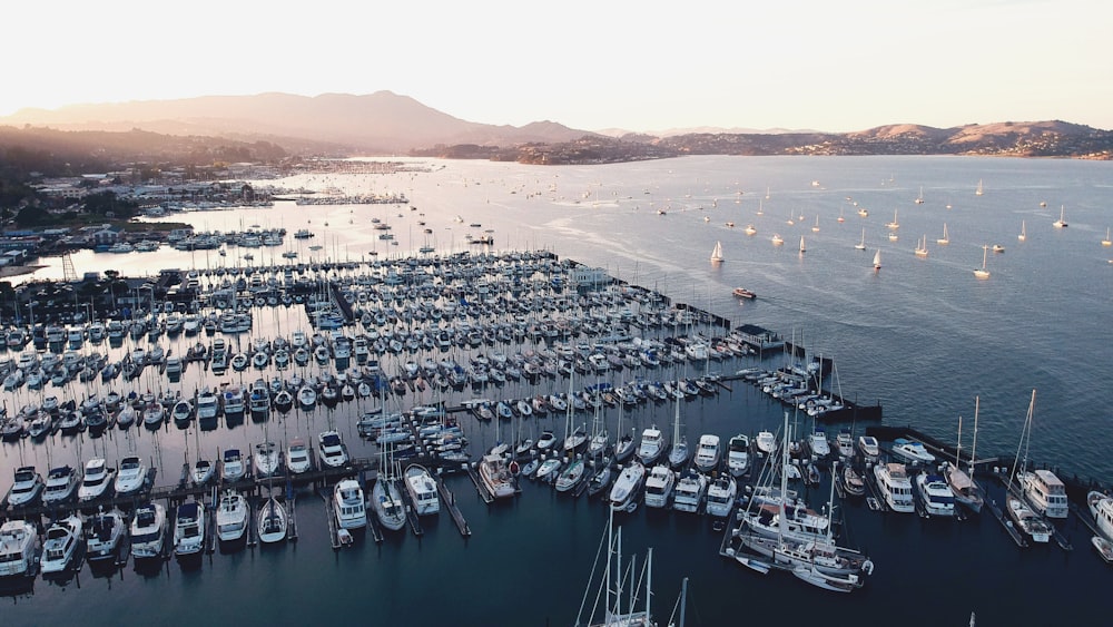 aerial photography of boats docked on water