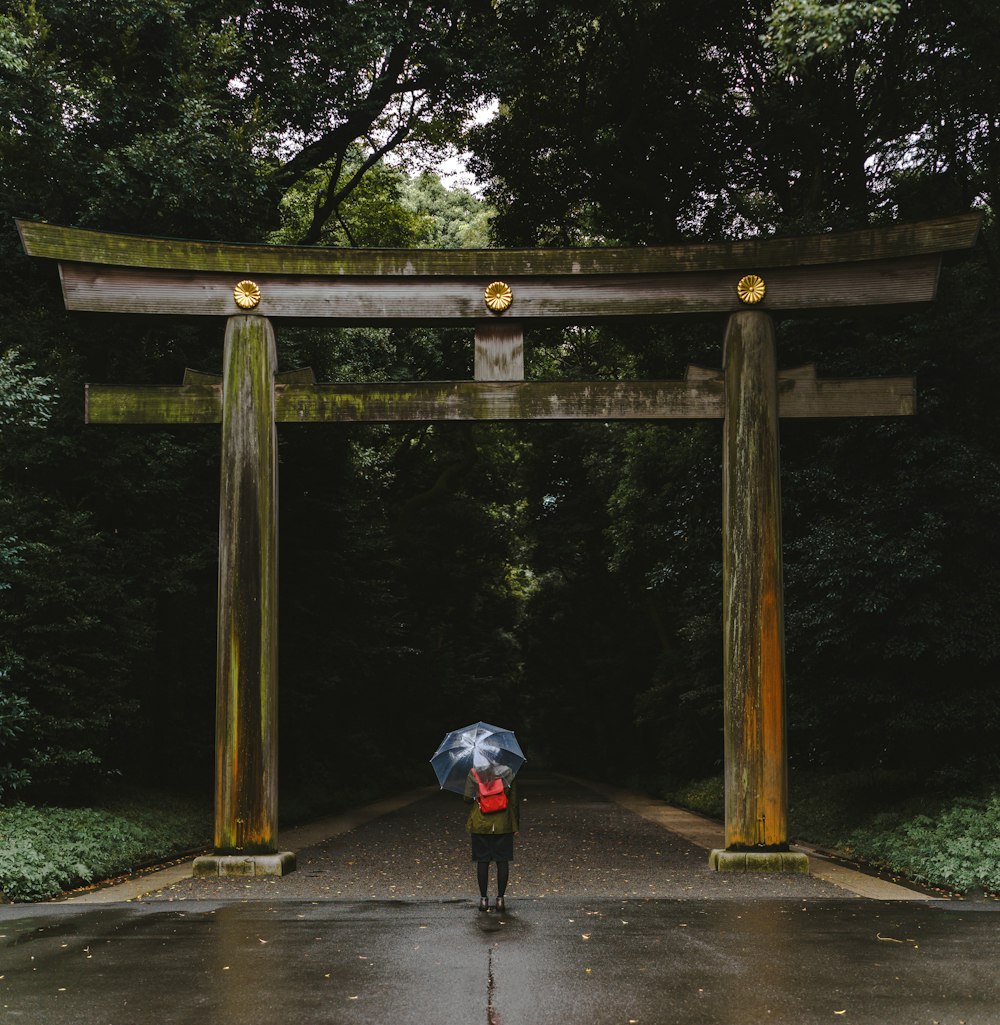 昼間、鳥居の前に立っている人