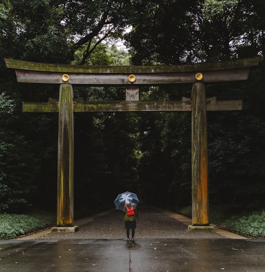 Meiji Jingu things to do in Shibuya-ku