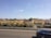 A commercial airplane is flying low near an airport perimeter, with clear skies above. In the foreground, there is a highway with a blue car driving past. The surrounding area features greenery, flowers, and some graffiti on a wall.