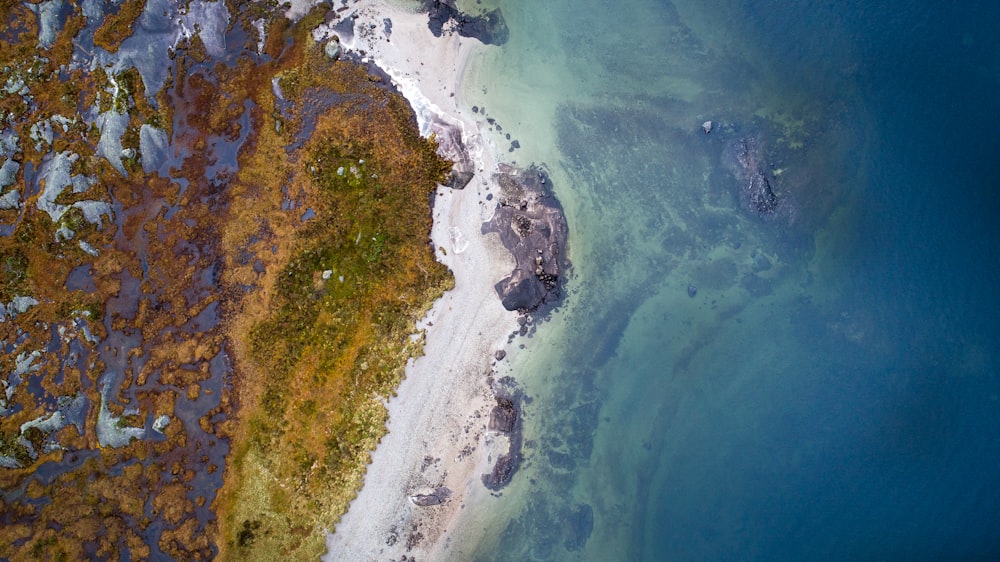 bird's eye view photo on island