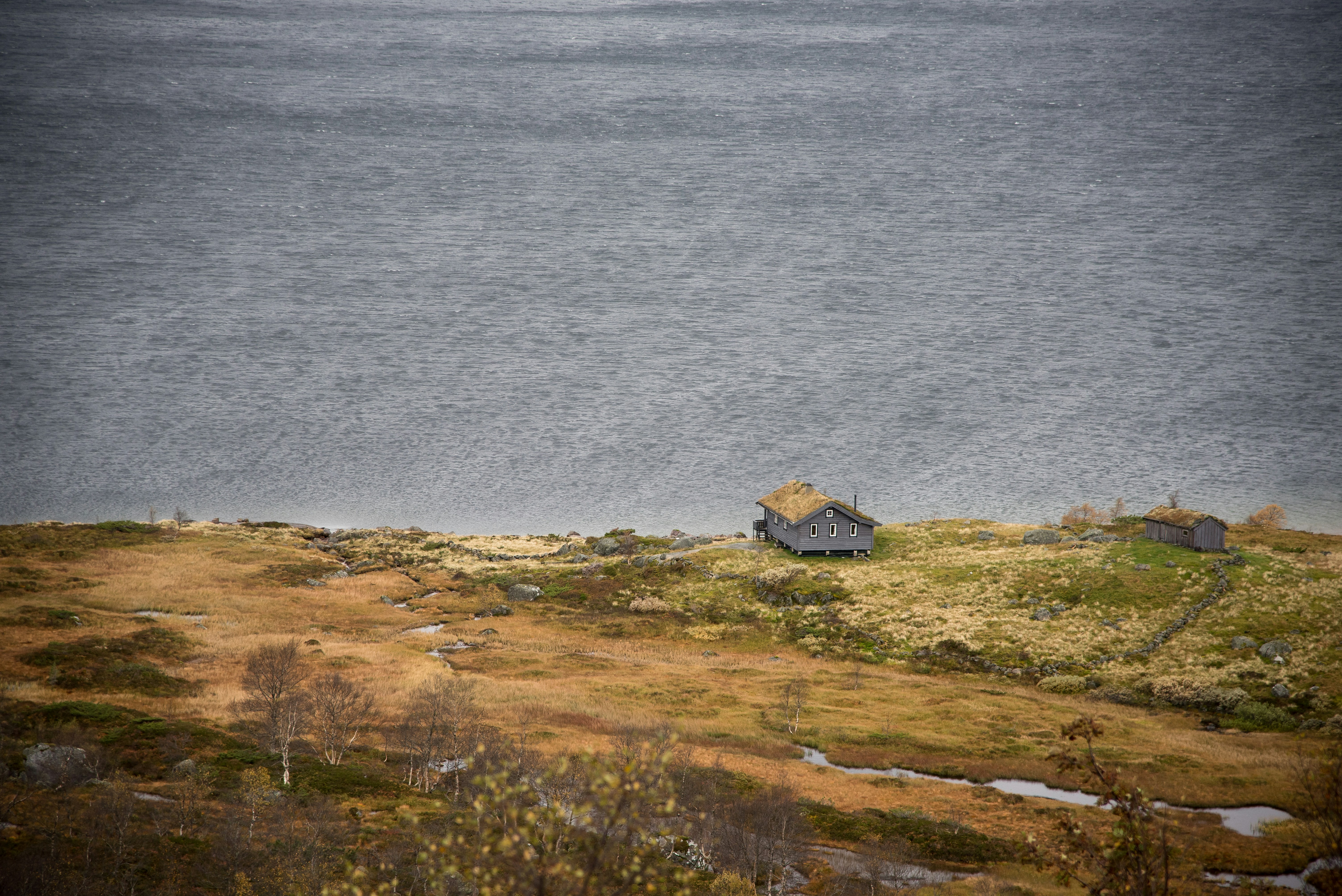 Photo by jack_scorner