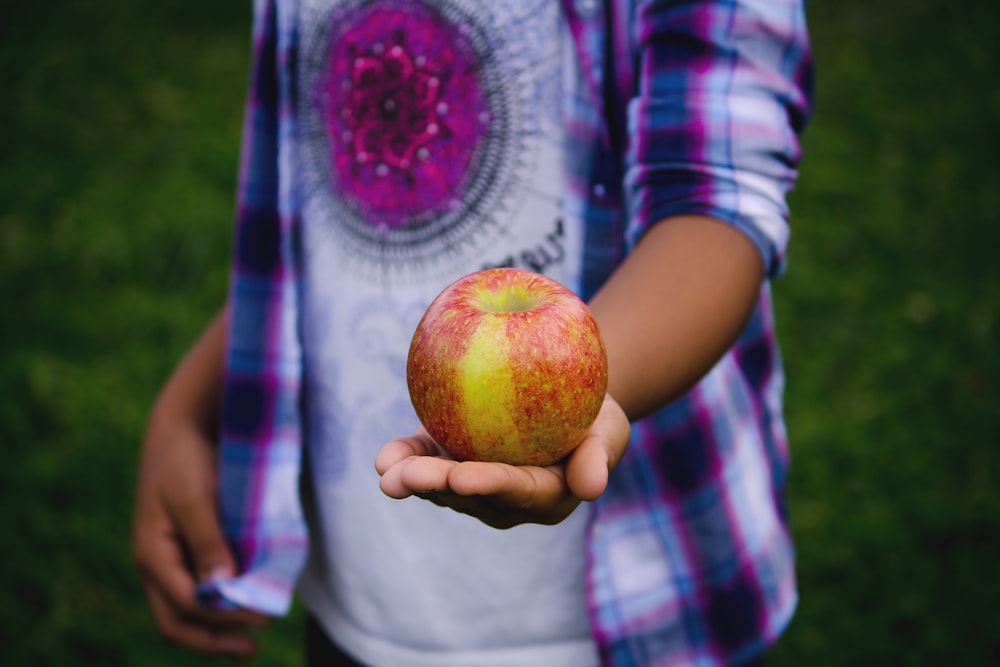 personne tenant des fruits de pomme rouge pendant la journée