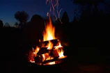 A cozy campfire glowing under a star-filled night sky.