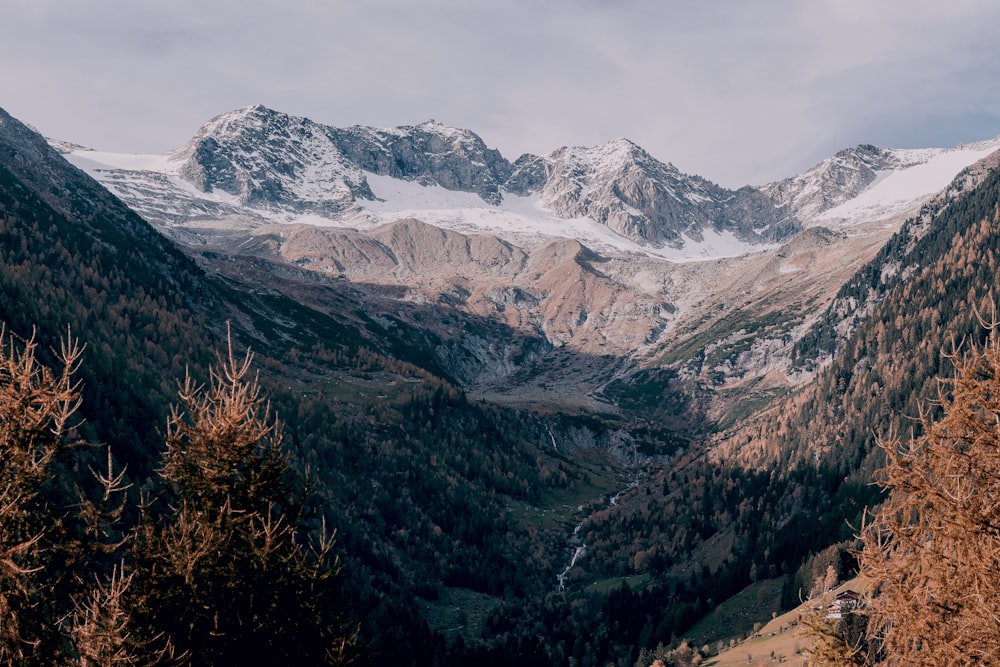 top view of alps mountain