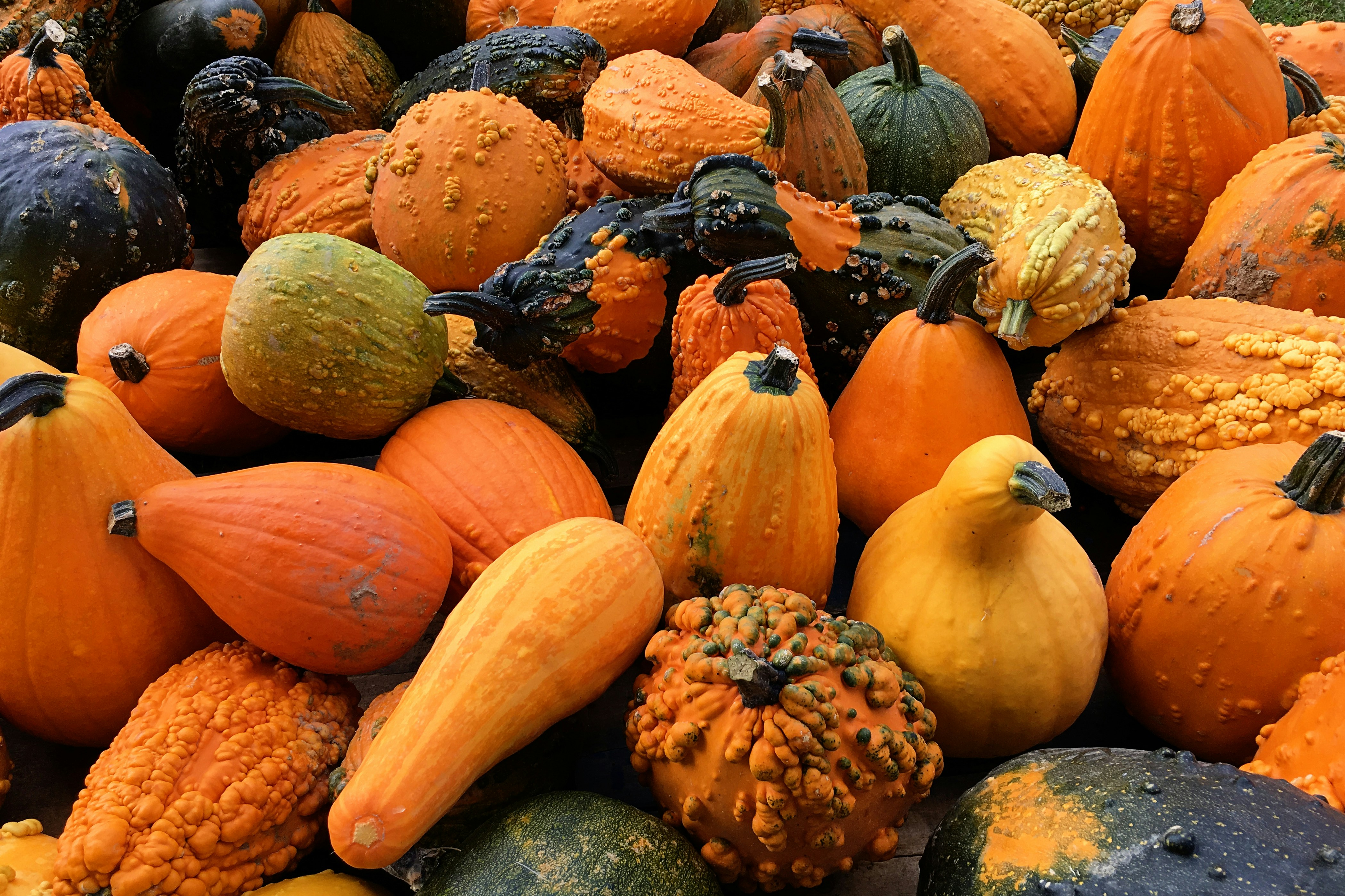 Choose from a curated selection of autumn wallpapers for your mobile and desktop screens. Always free on Unsplash.
