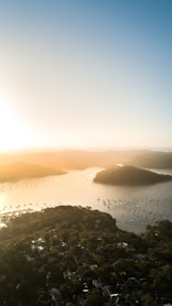 aerial photo of forest near body of water