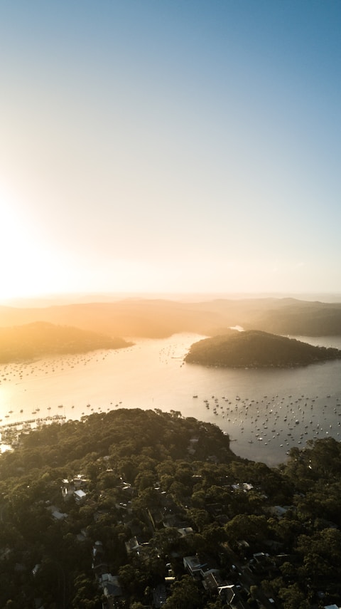 aerial photo of forest near body of water