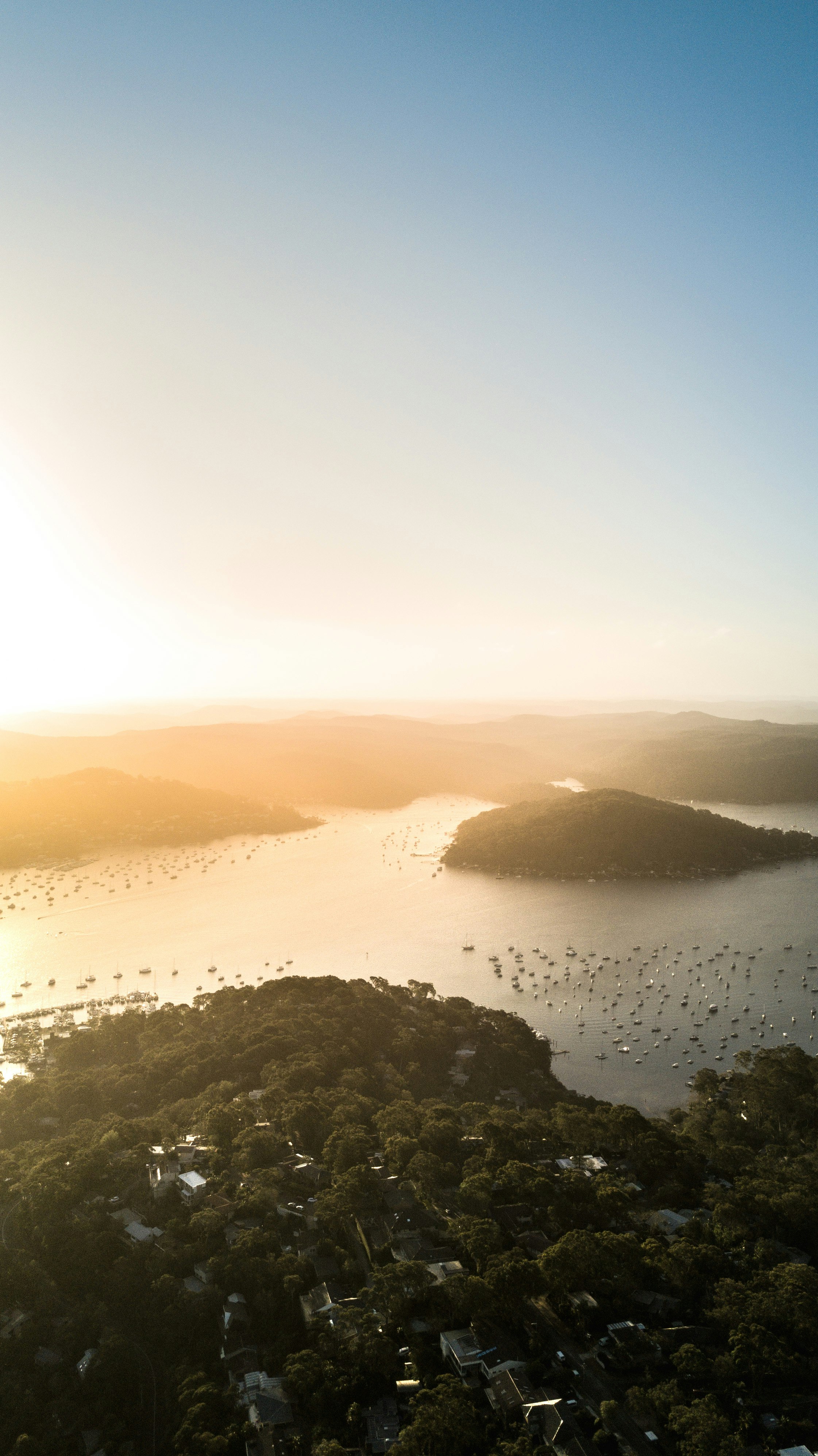 aerial photo of forest near body of water