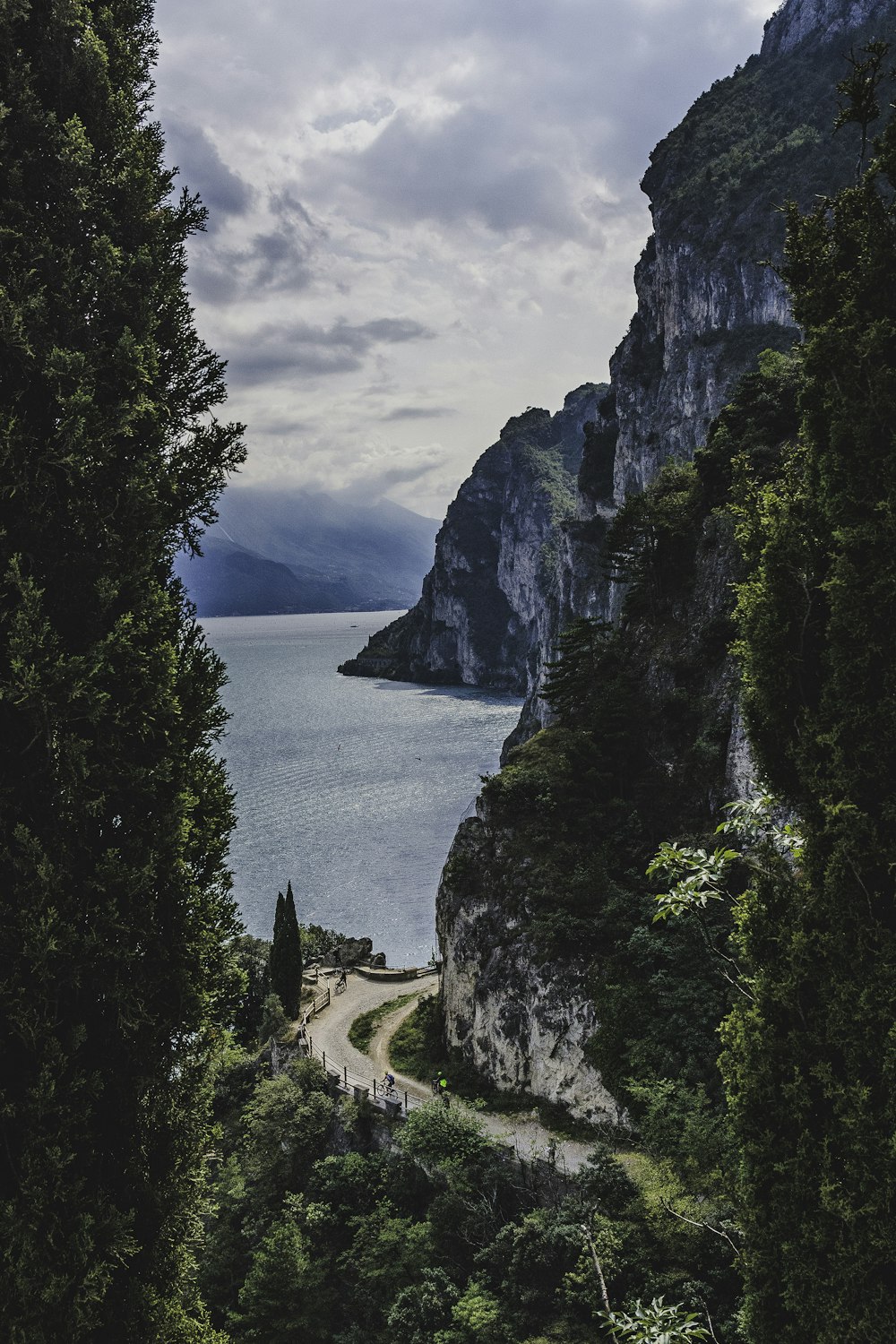 road beside mountain covered trees near body of water