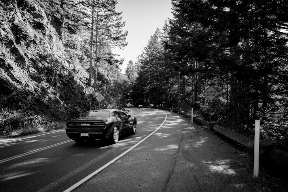 Photographie en niveaux de gris d’une voiture sur la route entre les arbres
