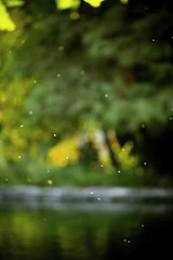 A soft blurred video background showing architectural elements with natural light filtering through.