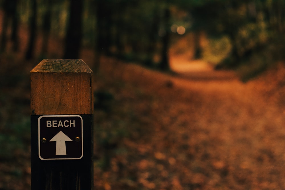 selective focus photography of Beach direction signage