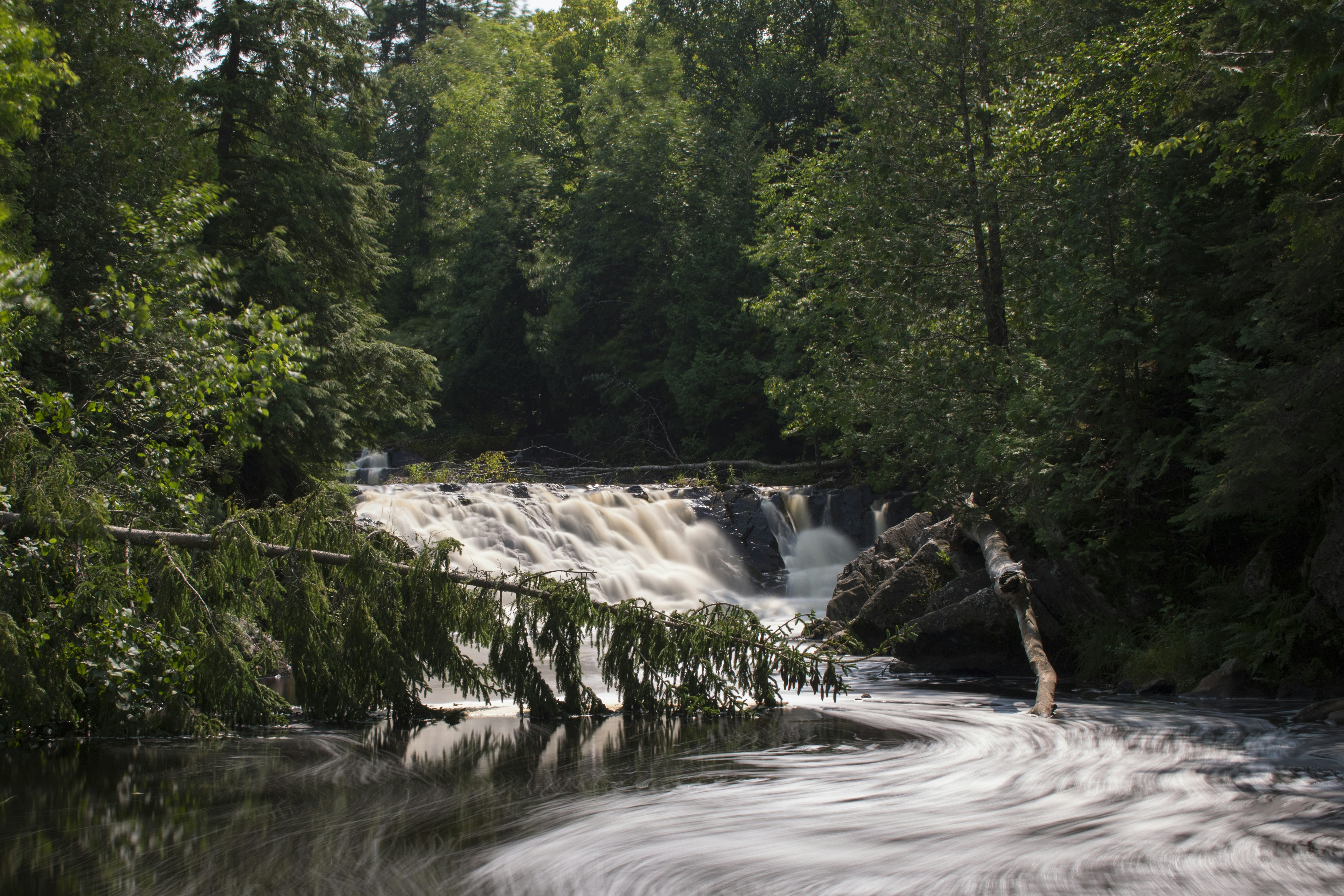 timelapse photography of waterfalls, Stream in the woodlands