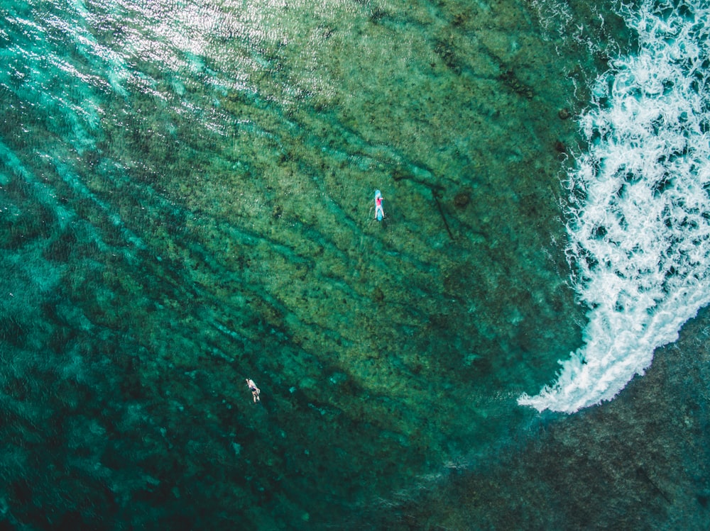 um casal de pessoas montando pranchas de surf em cima de uma onda