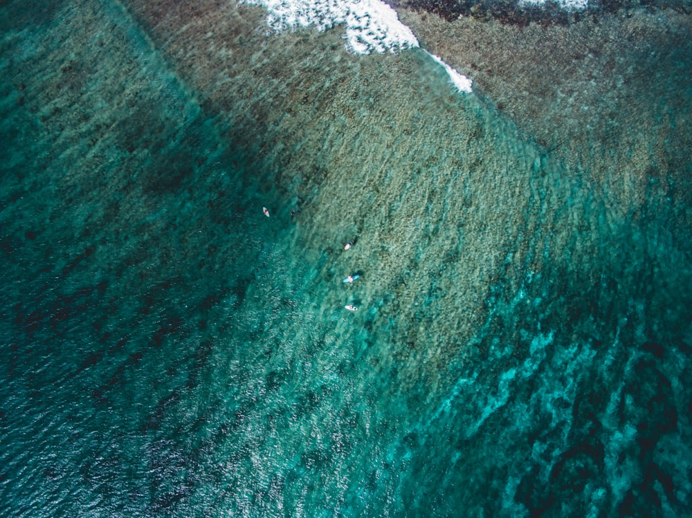 aerial view of ocean