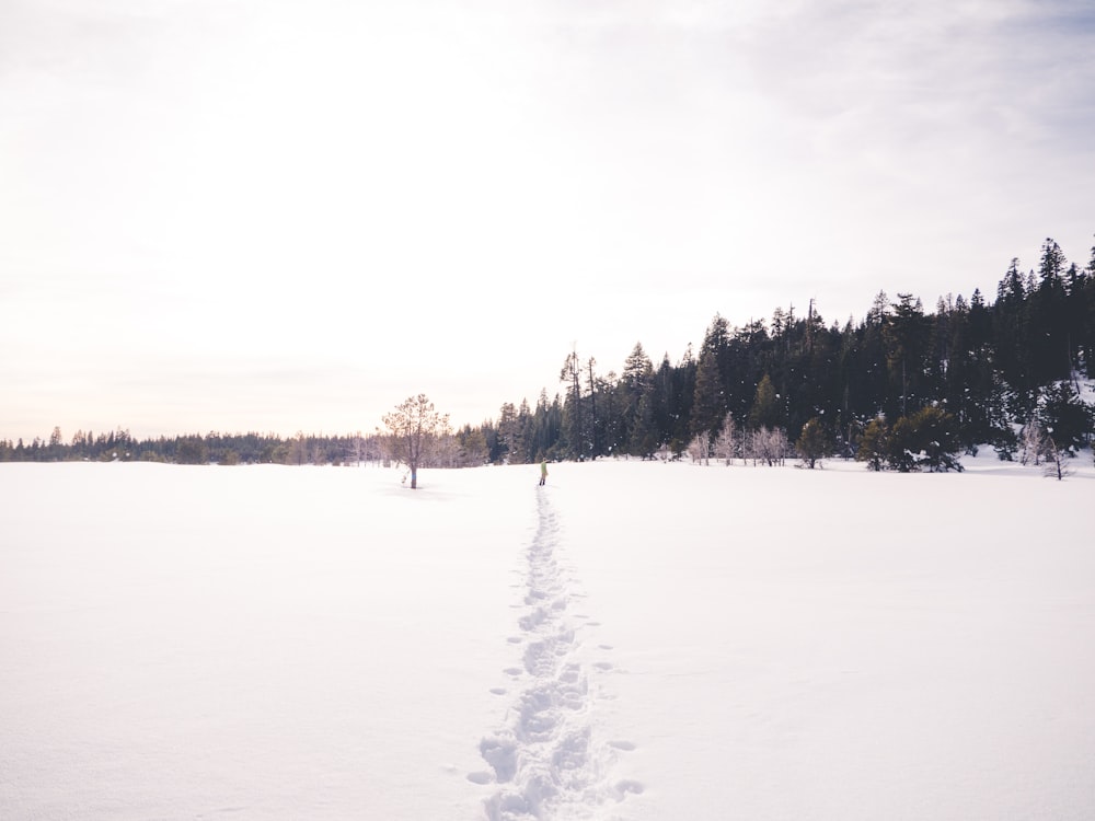 uomo che cammina sulla neve durante il giorno