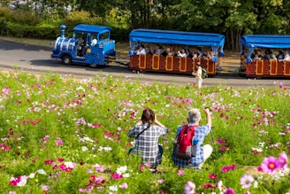 A family enjoying a sunny day on the vélorail track surrounded by vibrant wildflowers.