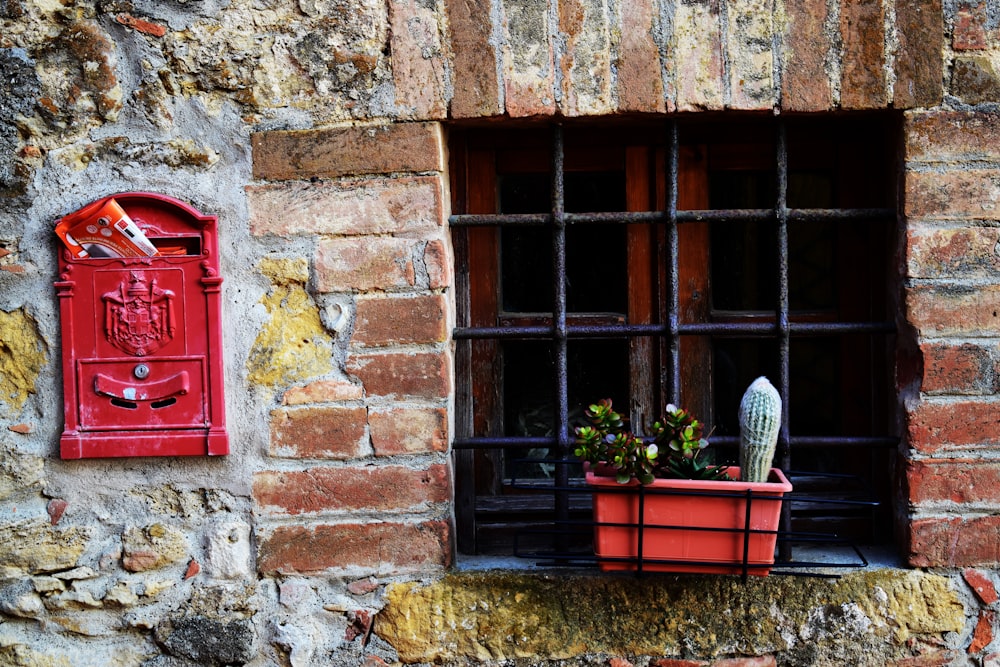 green plants beside window grill