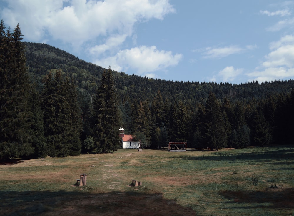 white and brown house between trees at daytime