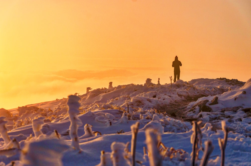 human standing on snow covered mountain