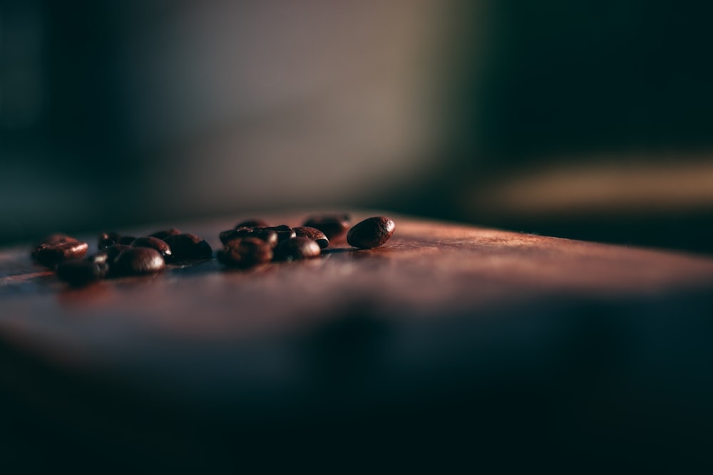 Photo de mise au point sélective de grains de café