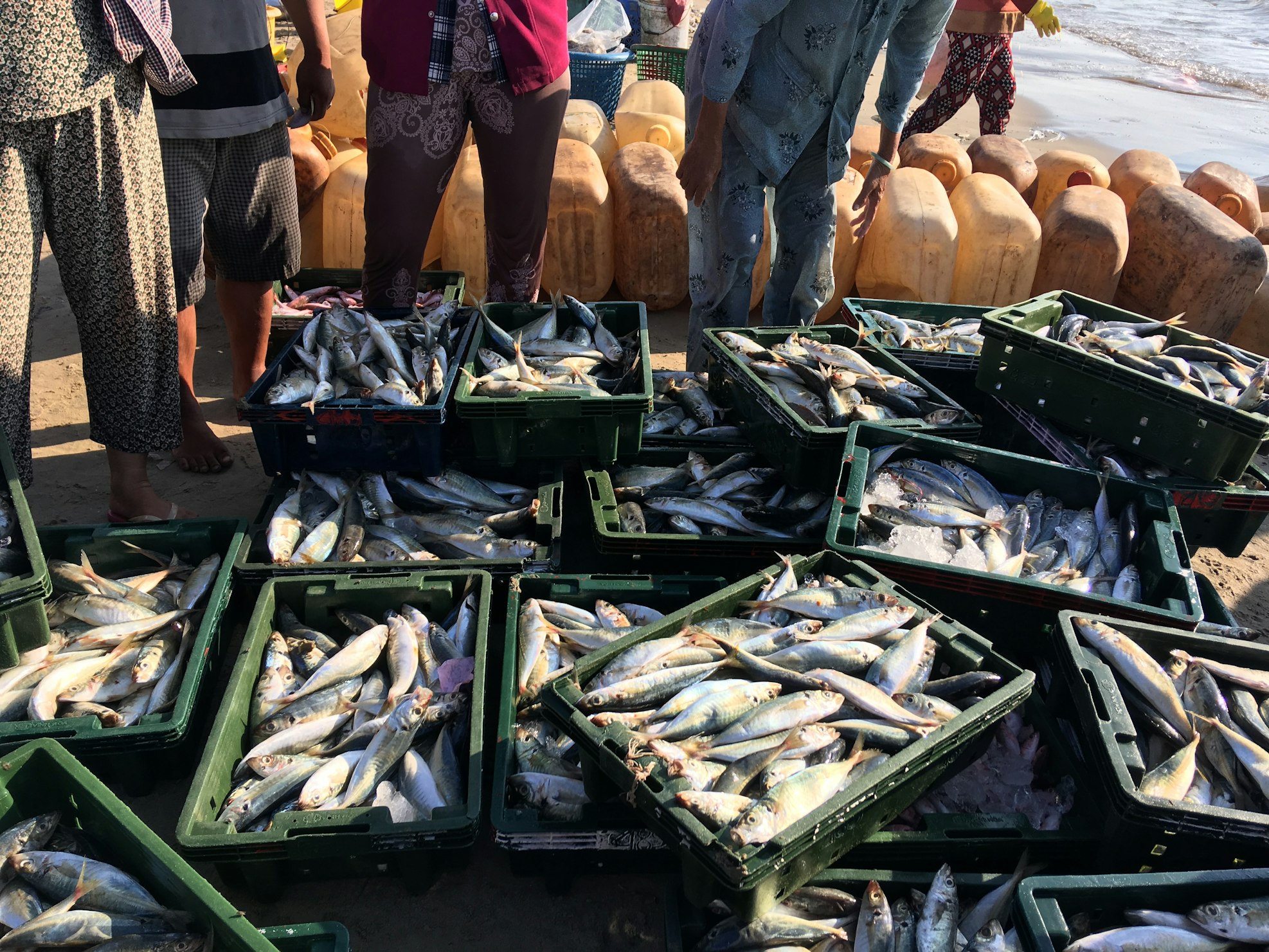 Fisheries