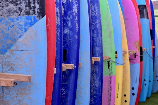 assorted-color surfboard set in Fuerteventura Spain
