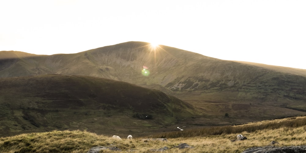 brown mountain under sunny sky