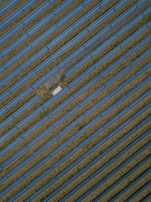 a bird flying over a building with a blue sky in the background