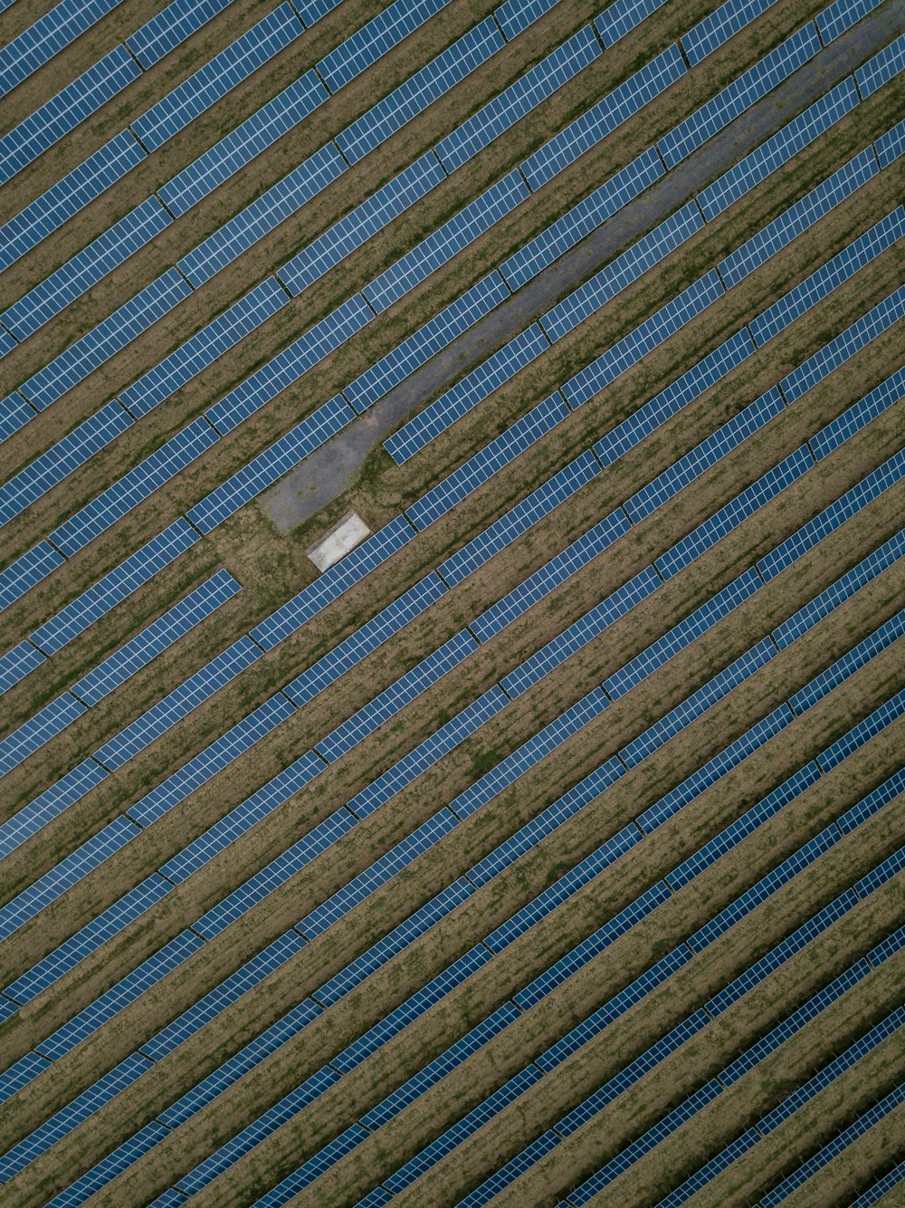 Un oiseau survolant un bâtiment avec un ciel bleu en arrière-plan