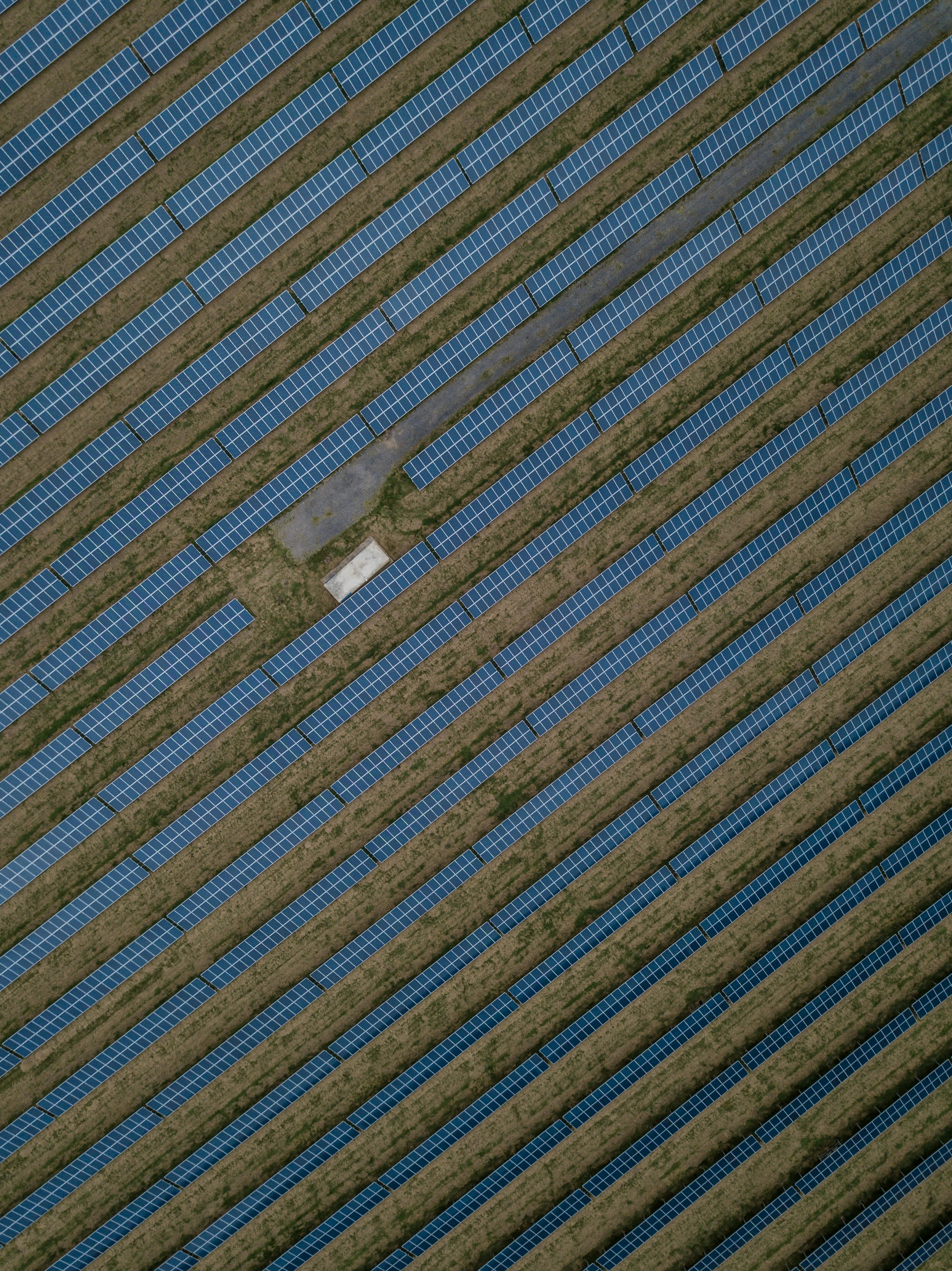 Understanding the Cost of 12 Volt Solar Panels in a Changing Market