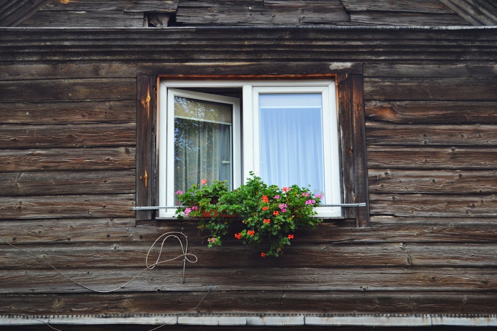 half-open glass window house