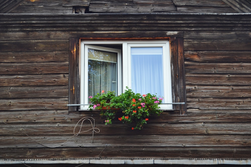 Casa con ventana de vidrio entreabierta